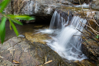 Scenic view of waterfall in forest