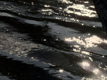 Reflection of trees in river