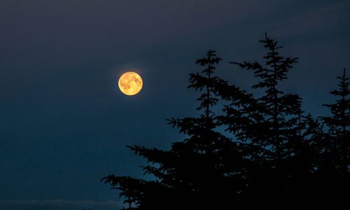 Low angle view of moon in sky