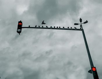 Low angle view of birds perching on cable