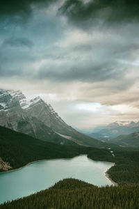 Peyto lake , canada