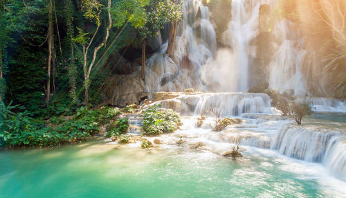 Scenic view of waterfall in forest