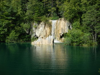 Scenic view of lake in forest