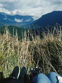 Low section of person by plants against mountains