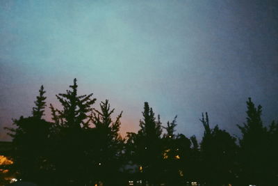 Low angle view of trees against sky