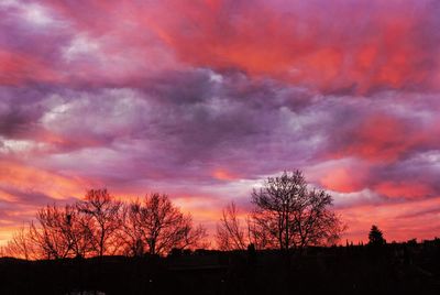 Silhouette trees against dramatic sky during sunset