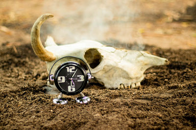 Close-up of clock on the road