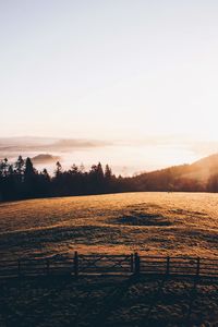 Scenic view of landscape against clear sky