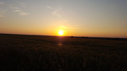 Scenic view of agricultural landscape against sky during sunset