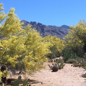 Scenic view of mountains against clear blue sky