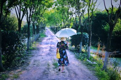 Rear view of woman with umbrella walking on wet road