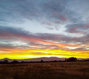 Scenic view of field against sky during sunset