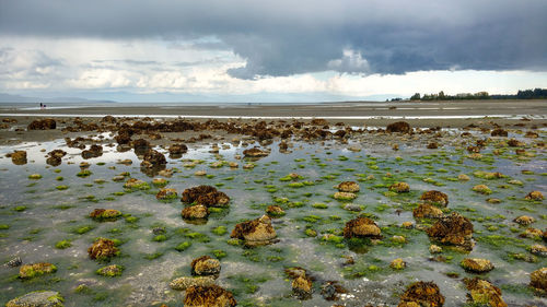 Scenic view of sea against cloudy sky