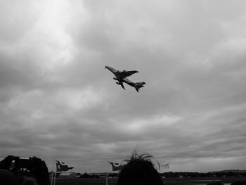 Low angle view of bird flying against sky