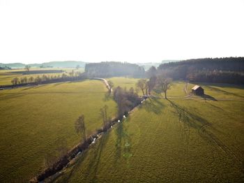 Sheep grazing on field against clear sky