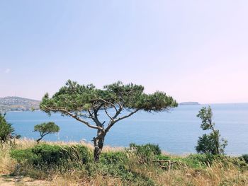 Scenic view of sea against clear sky