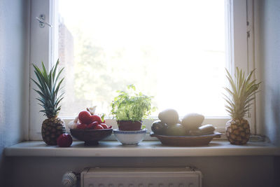 Potted plants on window sill