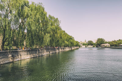 Scenic view of river against clear sky