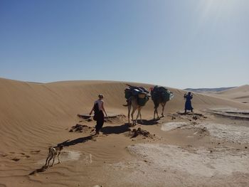 People riding a desert