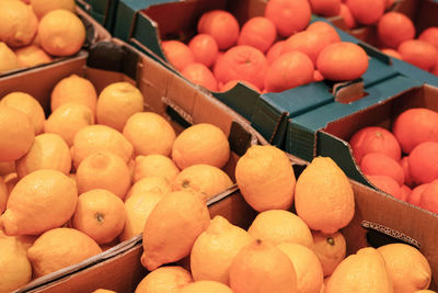 Ripe yellow lemons in the boxes in the grocery store. lemon harvest, many lemons and oranges