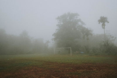 Trees on field during foggy weather