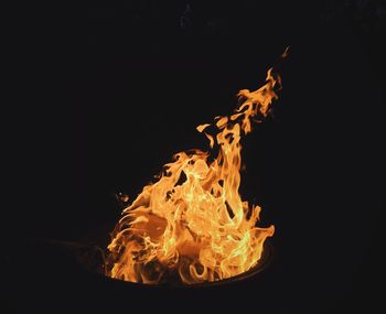 Close-up of bonfire against black background