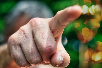 Close-up of person hand holding leaf