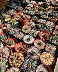 High angle view of food for sale in market