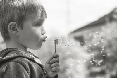 Close-up of boy blowing dandelion