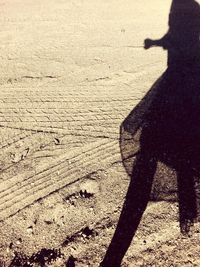 Shadow of people on beach