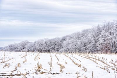 Snow covered field against sky