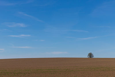 Scenic view of field against blue sky