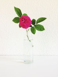 Close-up of pink flower vase on table