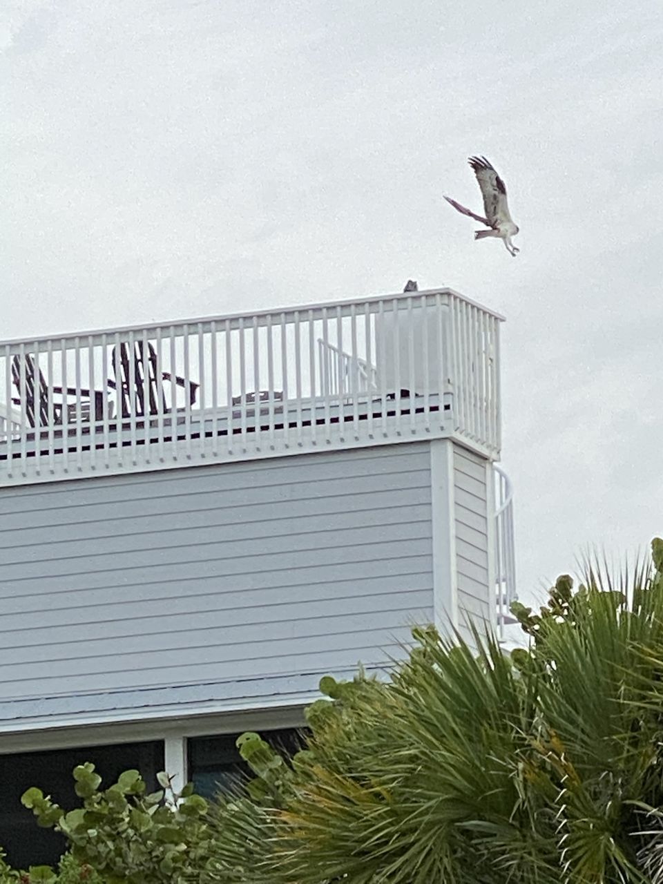 SEAGULLS PERCHING ON RAILING AGAINST SKY