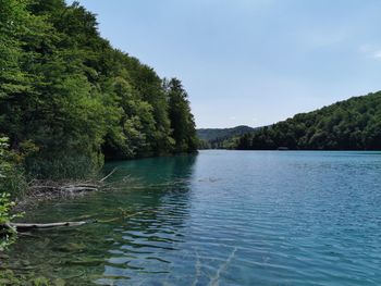 Scenic view of lake in forest against sky