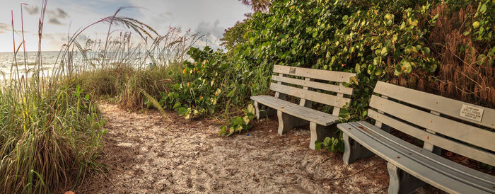 Empty bench in park against sky