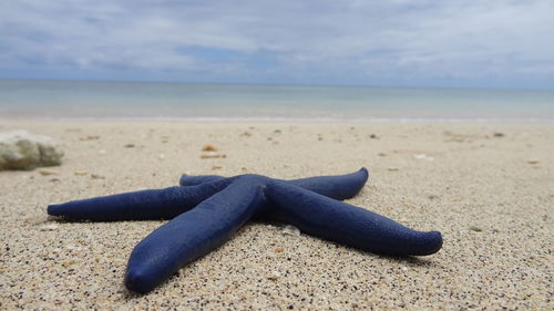 Close-up of sand on beach against sky