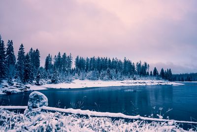 Scenic view of frozen lake against sky during winter oderteich germany 