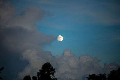 Low angle view of airplane flying against sky