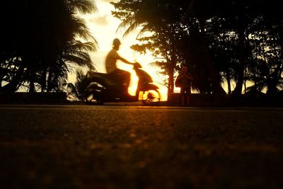 Silhouette of man sitting at sunset