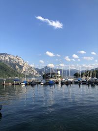 Sailboats moored in harbor