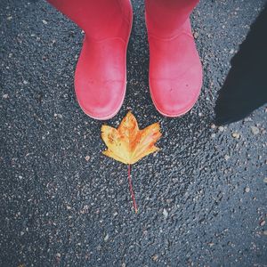 High angle view of red boots by leaf on road