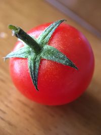 High angle view of tomatoes on table