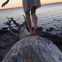 Rear view of woman balancing on driftwood in beach at croatan national forest