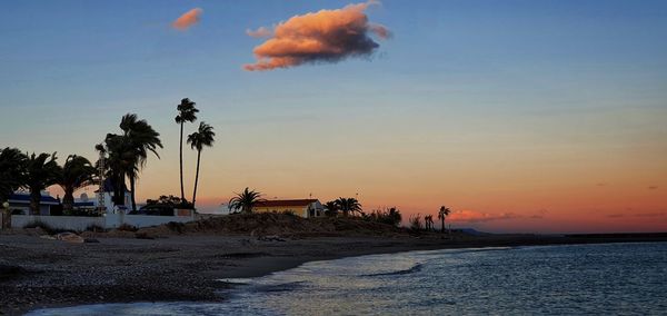 Silhouette palm trees on beach against sky during sunset
