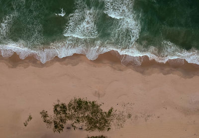 Scenic view of beach