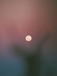 Low angle view of moon against sky at sunset