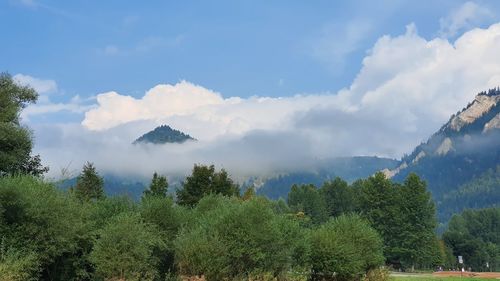 Panoramic view of trees and mountains against sky