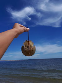 Close-up of human hand holding stingray over sea against sky