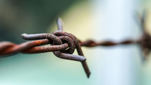 Close-up of barbed wire